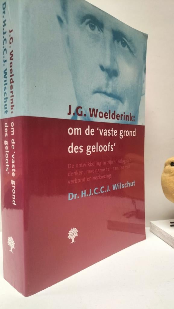 Wilschut, Dr. H.J.C.C.j.;  J.G. Woelderink:  om de ‘vaste, Ophalen of Verzenden, Gelezen, Christendom | Protestants