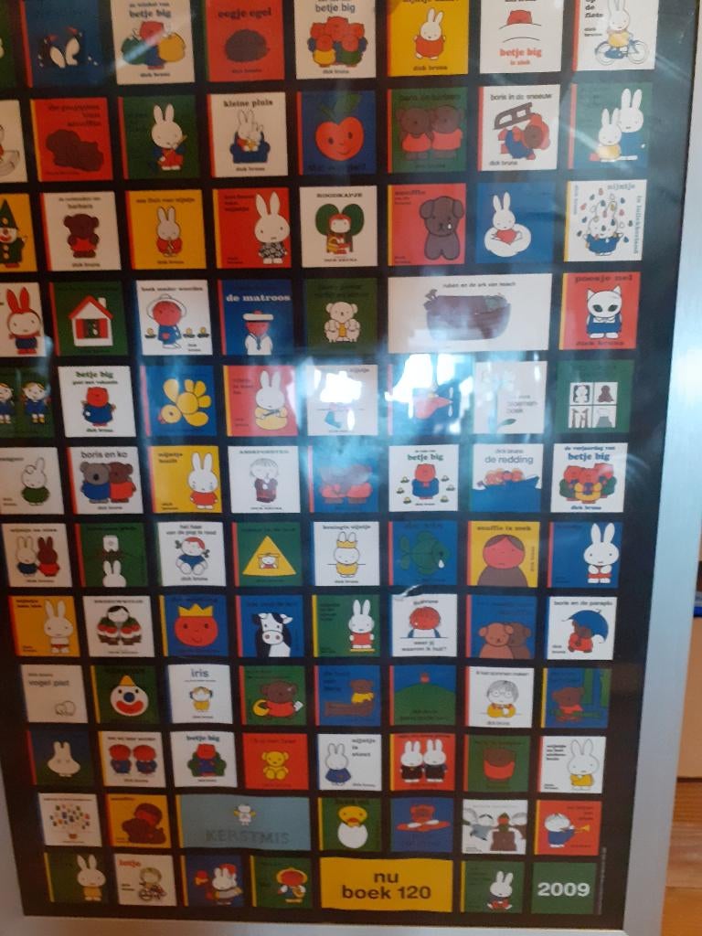 grote poster met bruna boekjes, Boeken, Ophalen of Verzenden, Gelezen