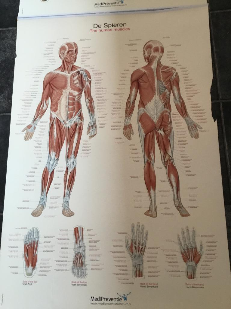 Poster medipreventie, Ophalen, Gebruikt, A1 t/m A3, Overige vormen