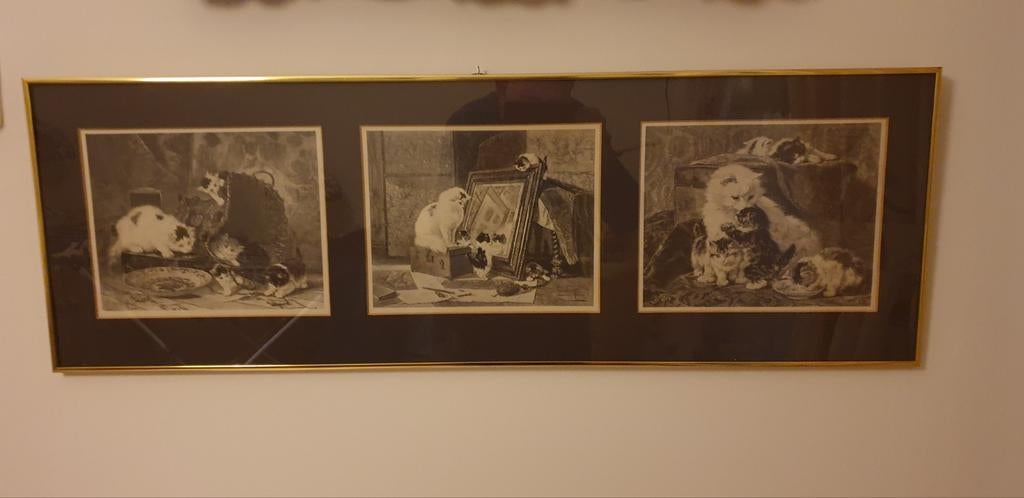 Schilderij klassiek lito, Ophalen, 1980 tot heden, Zo goed als nieuw, Overige onderwerpen