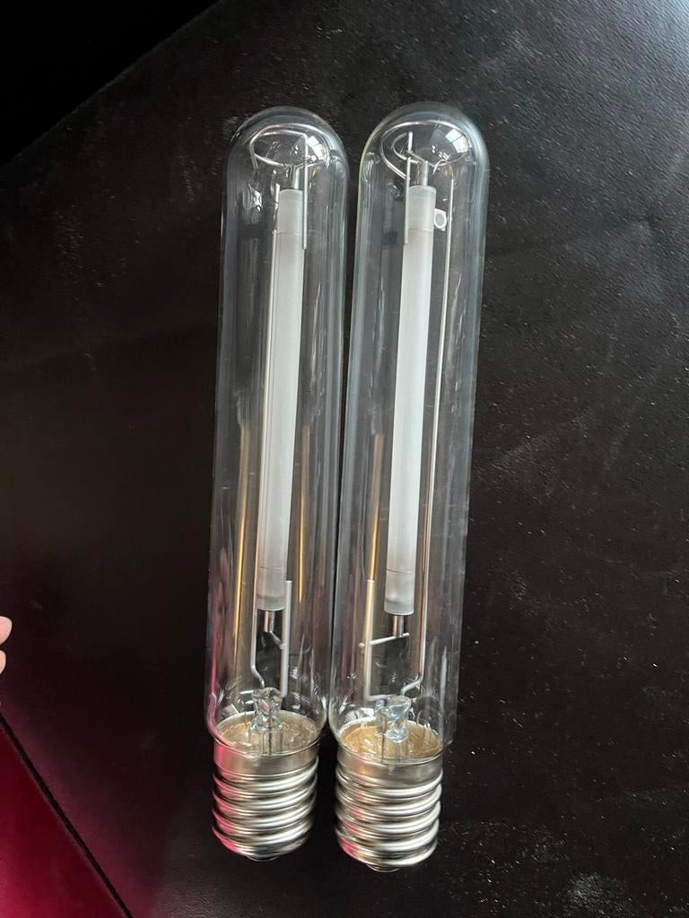 Philips Master GreenPower 600W HPS Groeilamp, Ophalen of Verzenden, Gebruikt