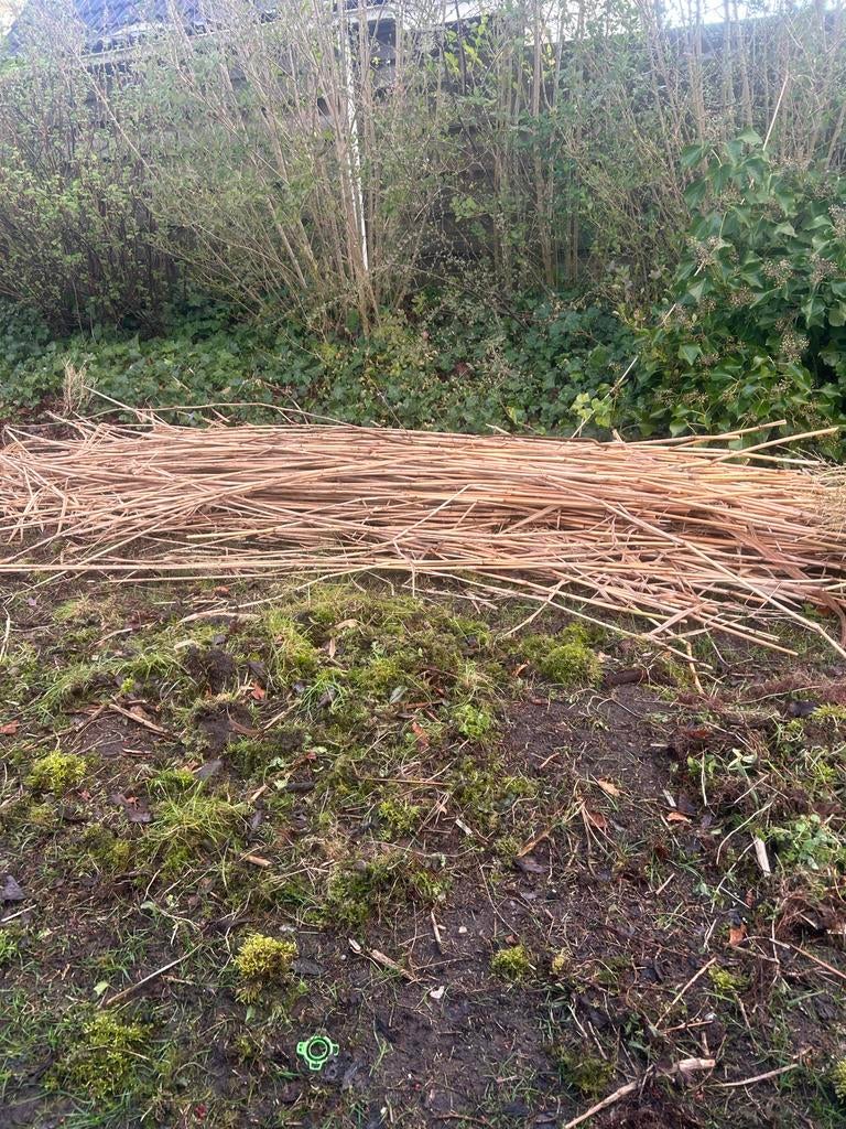 Bamboe stokken voor diverse toepassingen, Ophalen of Verzenden, Gebruikt, 250 cm of meer, Overige typen