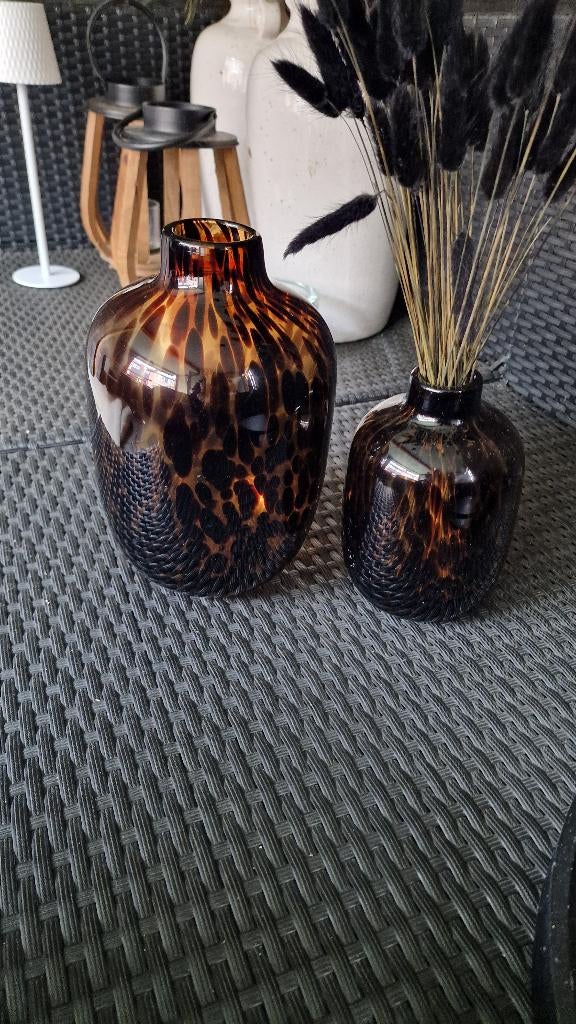 Vaasjes panter, Ophalen, Overige kleuren, Minder dan 50 cm, Glas