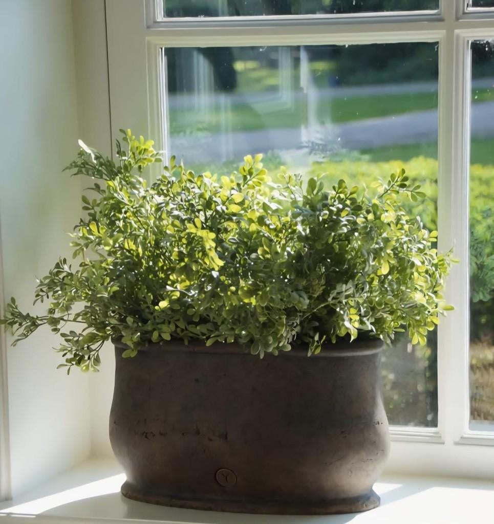 Brynxz buxus, zijdetak, groen, plant, zijdebloemen, Huis en Inrichting, Www.jufbrocante.nl, Www.jufbrocante.nl, Nieuw, Ophalen of Verzenden