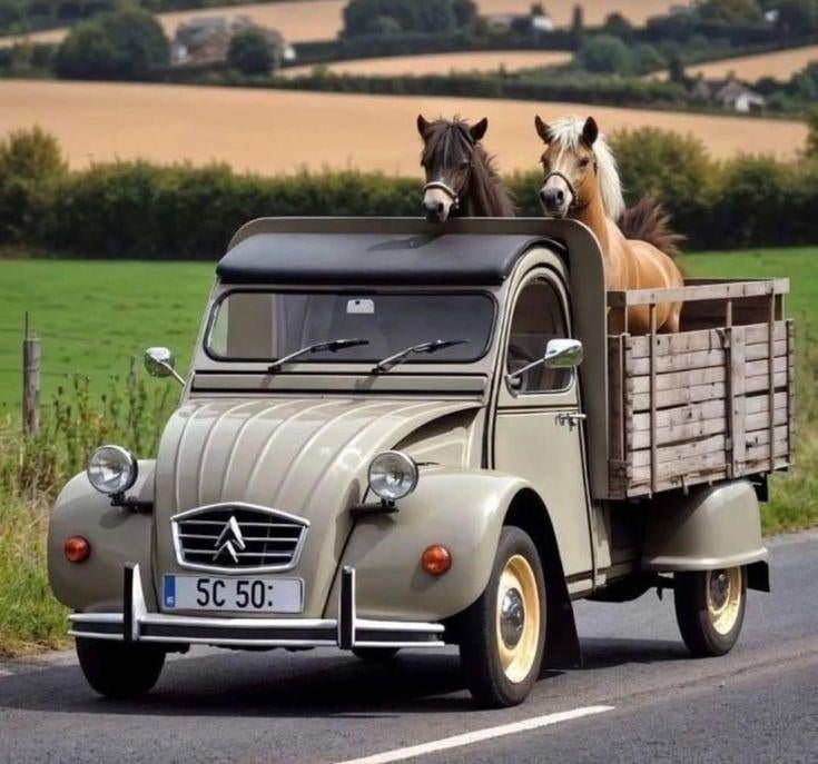 Vervoer-Beroepen-foto- C-264, Verzenden, 1980 tot heden, Foto, Nieuw