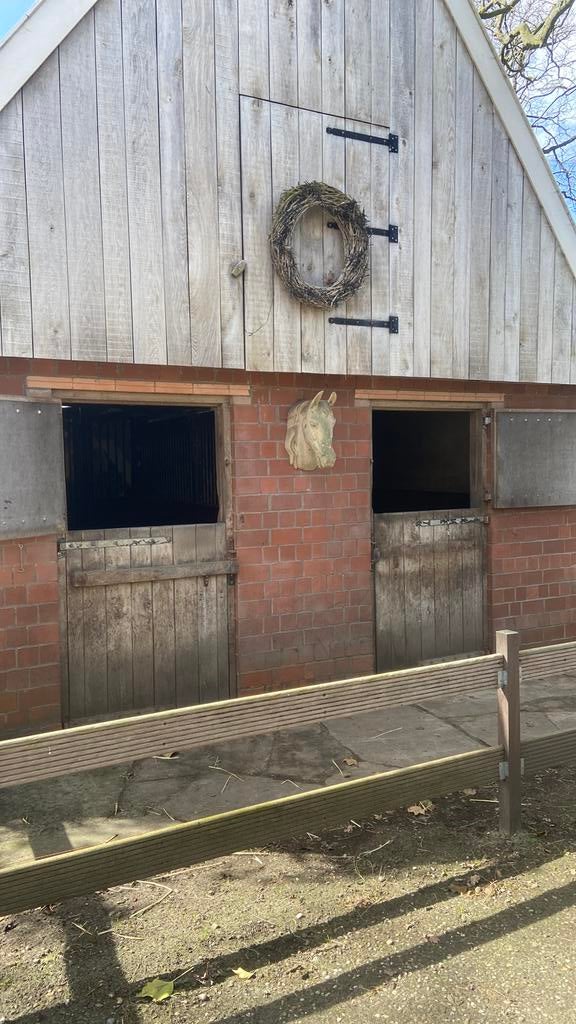 2 paardenboxen met paddock, Weidegang