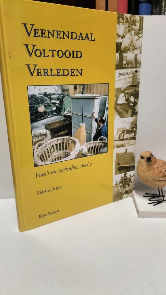 Brink, Martin; Veenendaal Voltooid Verleden dl. 2, Ophalen of Verzenden, Gelezen