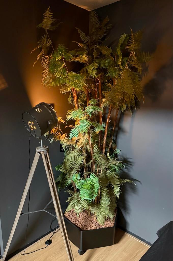 Grote kunstplant in bak met wielen • 260cm hoog, Ophalen, Zo goed als nieuw, Binnen