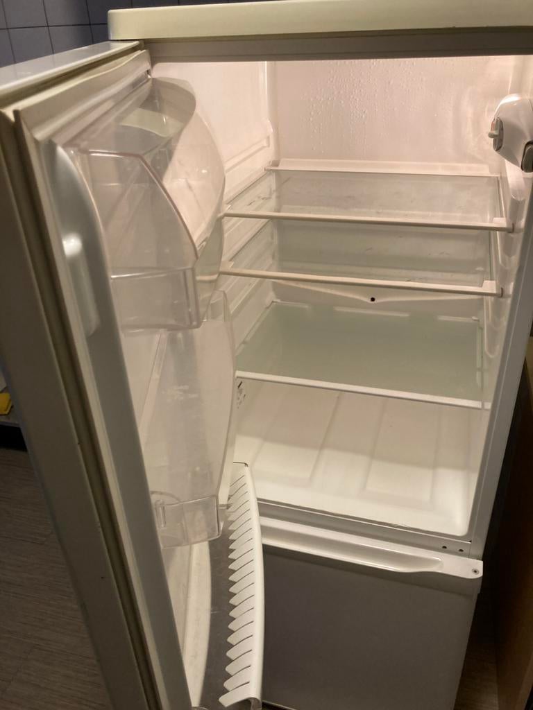 Zanussi Koelkast met vriesvak, Ophalen, Gebruikt, 140 tot 160 cm, 45 tot 60 cm