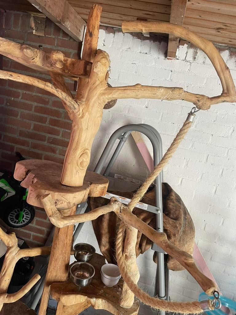 grote javaboom, Ophalen, Hout, Vogelkooi