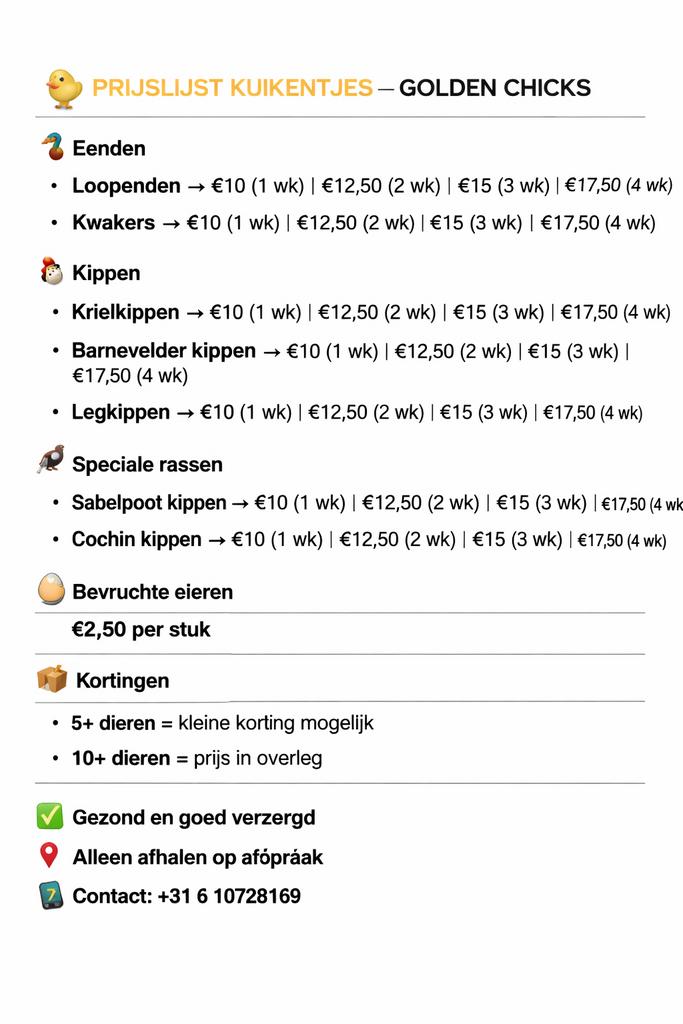 Kippen en eenden kuikens, Meerdere dieren, Kip