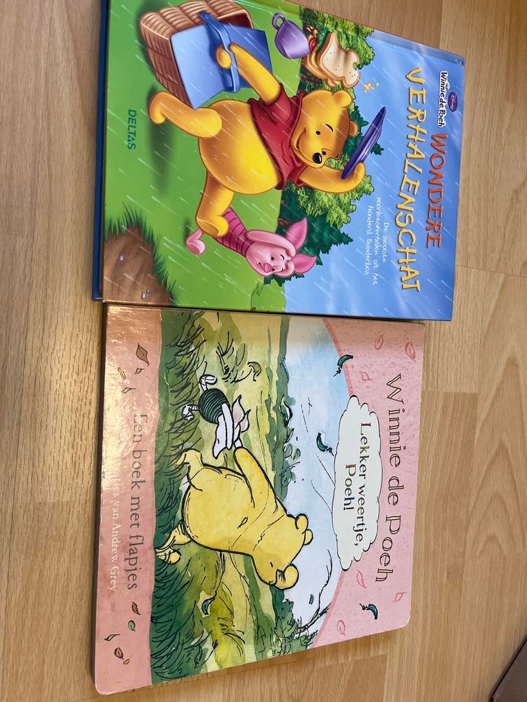 2 Winnie de Poeh Voorleesboeken, Boeken, Ophalen of Verzenden, Gelezen, Uitklap-, Voel- of Ontdekboek, 2 tot 3 jaar