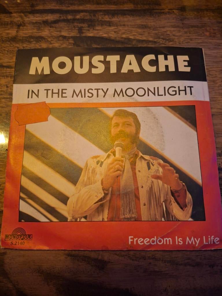 Moustache - In the misty moonlight, Ophalen of Verzenden, Zo goed als nieuw, Pop