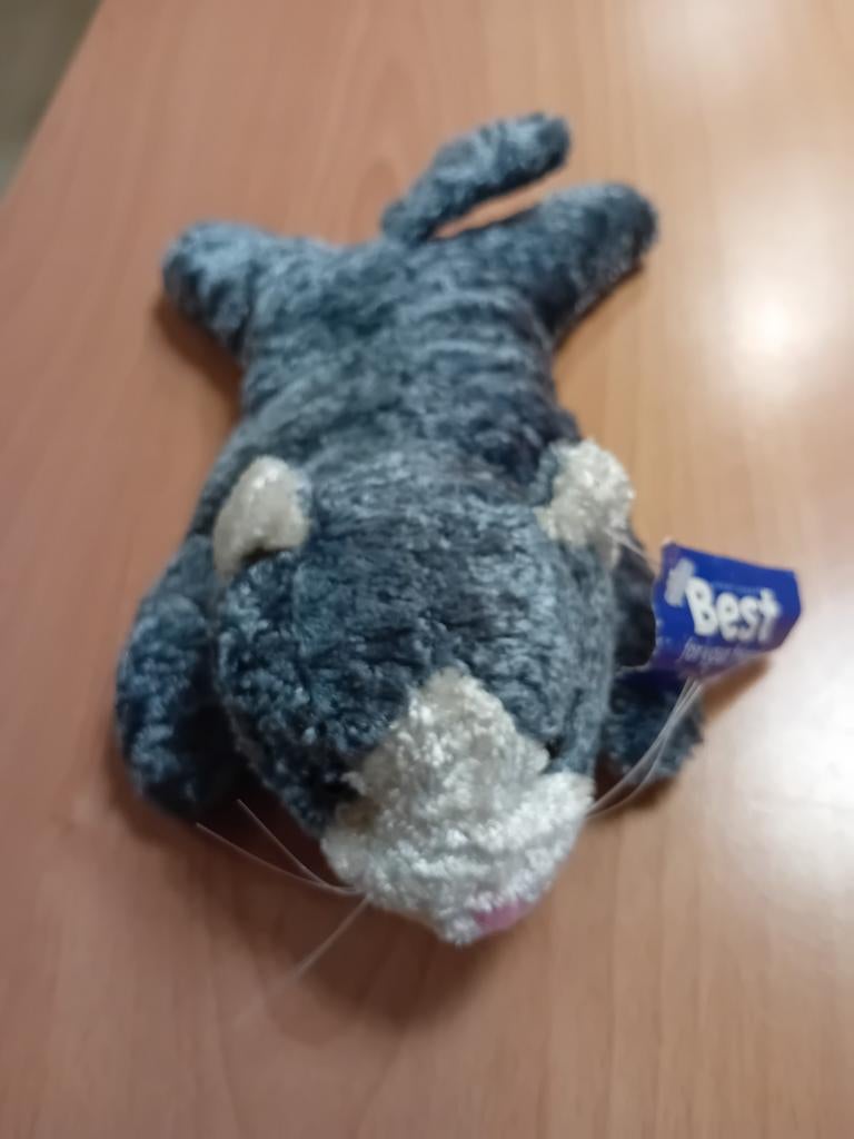 NIEUW poes met geluid werkt op 3 knoopcelbatterijen, Kinderen en Baby's, Speelgoed | Knuffels en Pluche, Ophalen, Nieuw