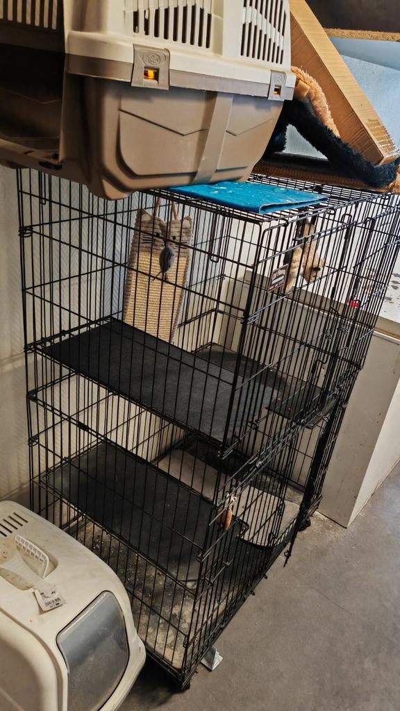 Kooi voor een kat, ophalen in Rotterdam, Dieren en Toebehoren, Katten-accessoires, Ophalen of Verzenden