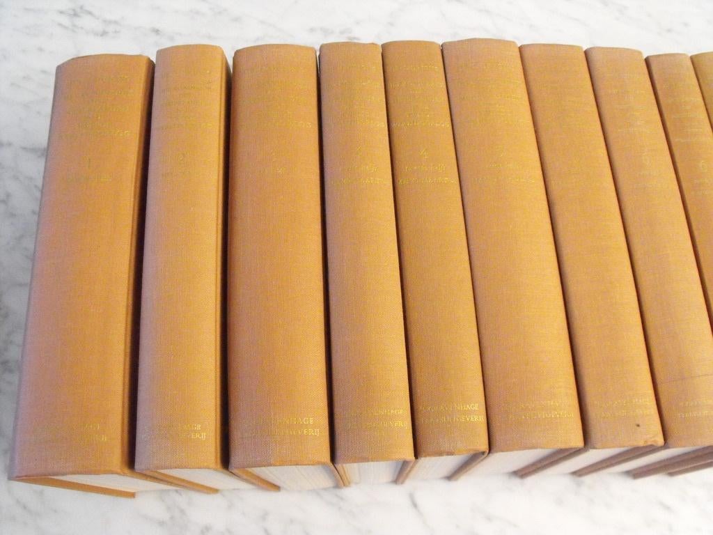 Het koninkrijk der nederlanden dr. L de jong in de oorlog, Boeken, Ophalen of Verzenden, Zo goed als nieuw, Geschiedenis en Politiek