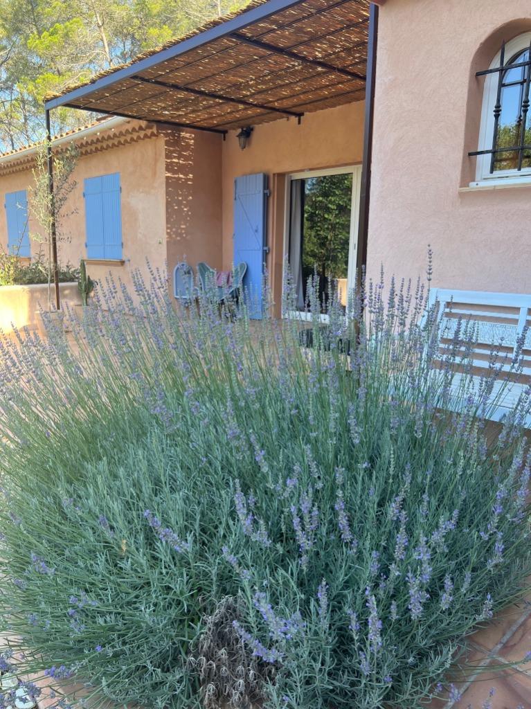 Vakantie Villa Lorgues (var, Provence, Cote), Vakantie, 8 personen, 4 of meer slaapkamers, In bos, Provence en Côte d'Azur