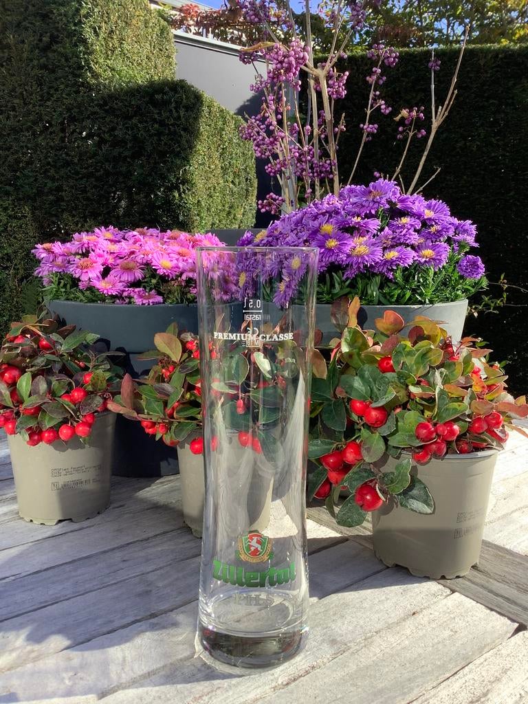3 speciaalbier glazen - Zillertal - Warsteiner - Tyrol, Verzamelen, Ophalen, Zo goed als nieuw, Bierglas