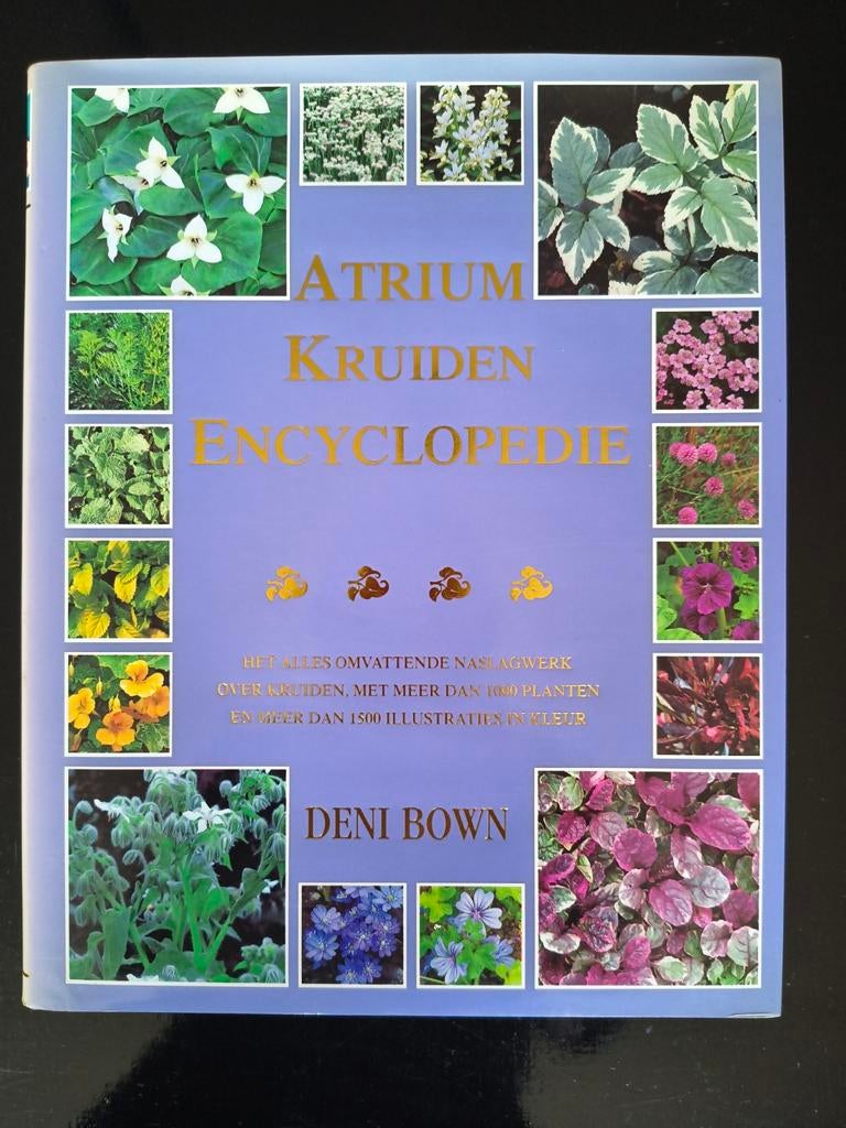 Atrium Kruiden Encyclopedie - Deni Bown, Boeken, Ophalen of Verzenden, Zo goed als nieuw, Deni Bown