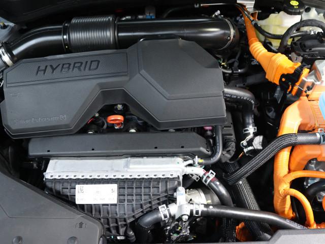 Kia Sportage 1.6 T-GDi Plug-in Hybrid GT-PlusLine (bj 2025), 12 maanden, 4 cilinders, Plug-in hybride, Bedrijf