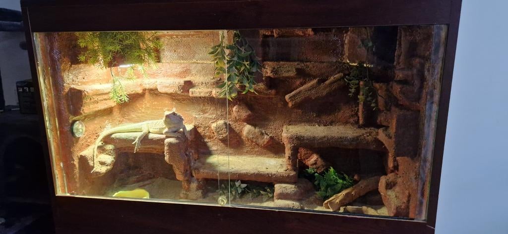 Betonplex Terrarium te koop- 100x63x40 cm, Ophalen