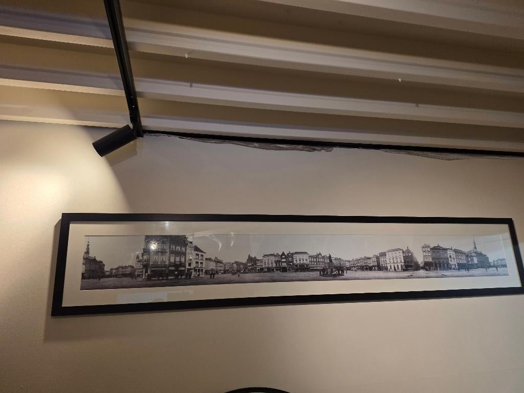 schilderij skyline den bosch, Ophalen of Verzenden, Zo goed als nieuw