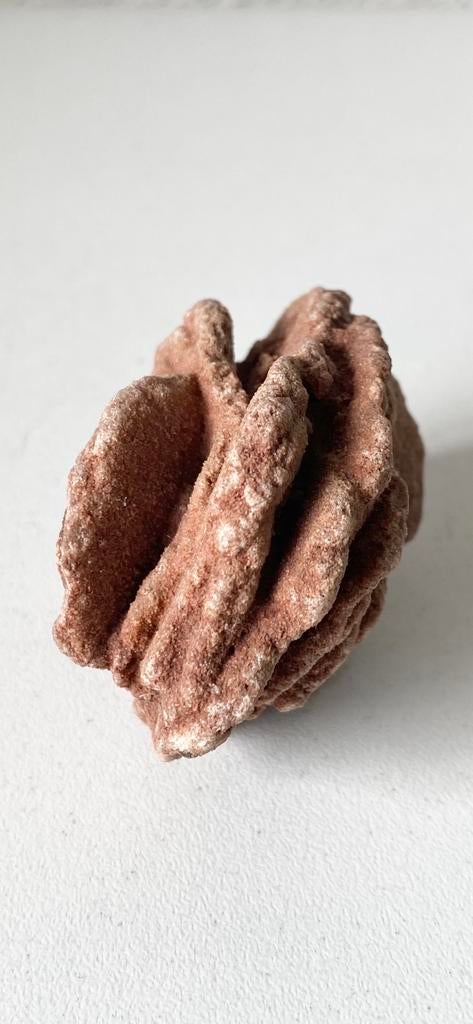 mineraal:  mooie RUWE ‘WOESTIJNROOS’, Ophalen of Verzenden, Mineraal