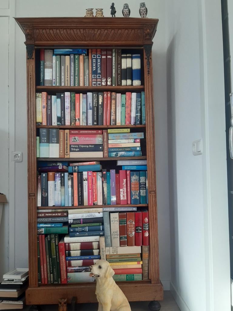Boeken kast incl boeken, Huis en Inrichting, Ophalen of Verzenden, 25 tot 50 cm, 50 tot 100 cm, 200 cm of meer