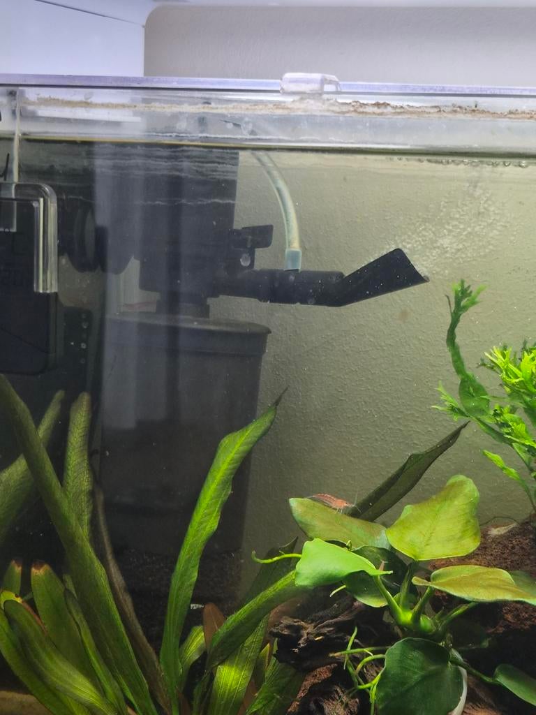 Aquael turbo 500 filter., Dieren en Toebehoren, Vis