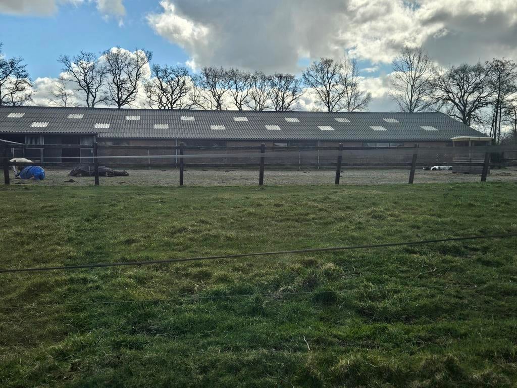 Stalling aangeboden, Dieren en Toebehoren, Stalling en Weidegang, Stalling, 2 of 3 paarden of pony's