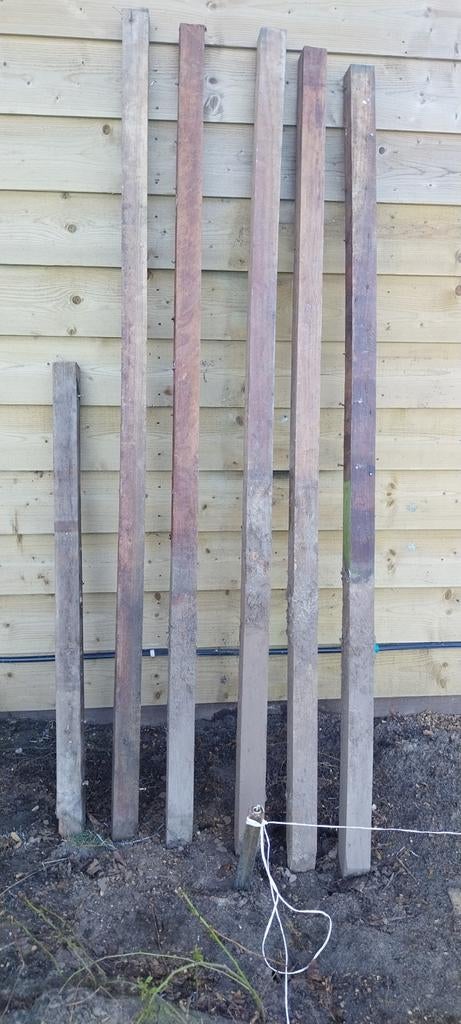 Puntgave, rechte hardhouten palen, Palen, Ophalen of Verzenden, Zo goed als nieuw, Hardhout