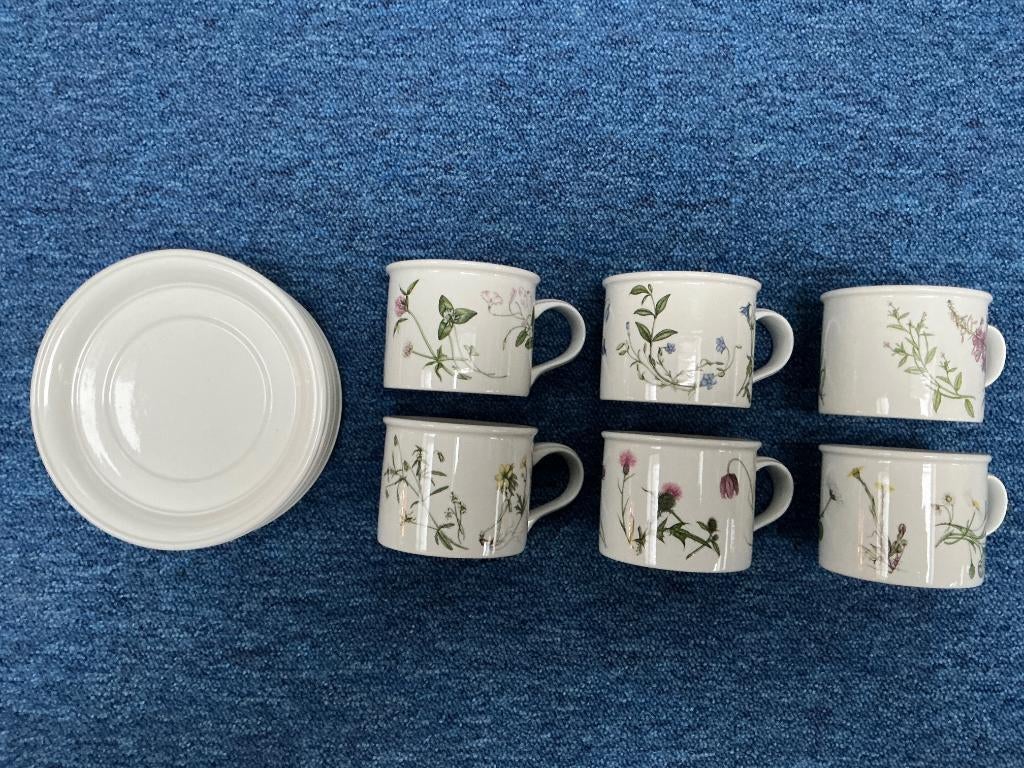 6 kop en 6 schotel. Portmeirion Queens Hidden Garden, Ophalen of Verzenden, Zo goed als nieuw, Overige stijlen, Kop(pen) en/of Schotel(s)