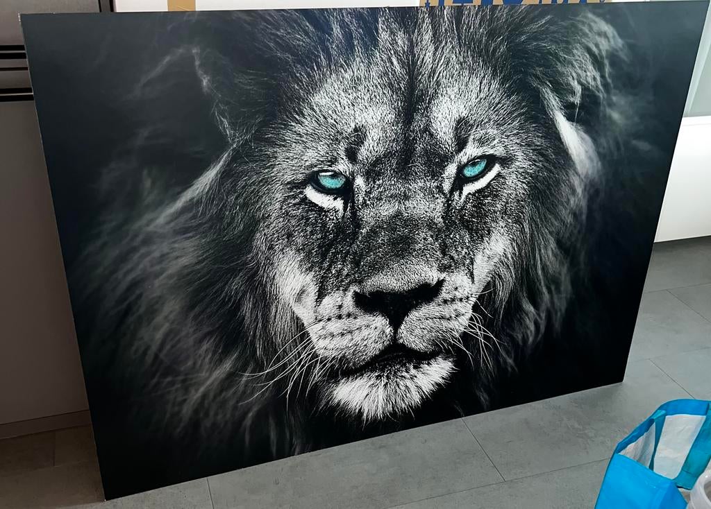 Schilderij leeuw, Ophalen, 125 cm of meer, Zo goed als nieuw, Schilderij