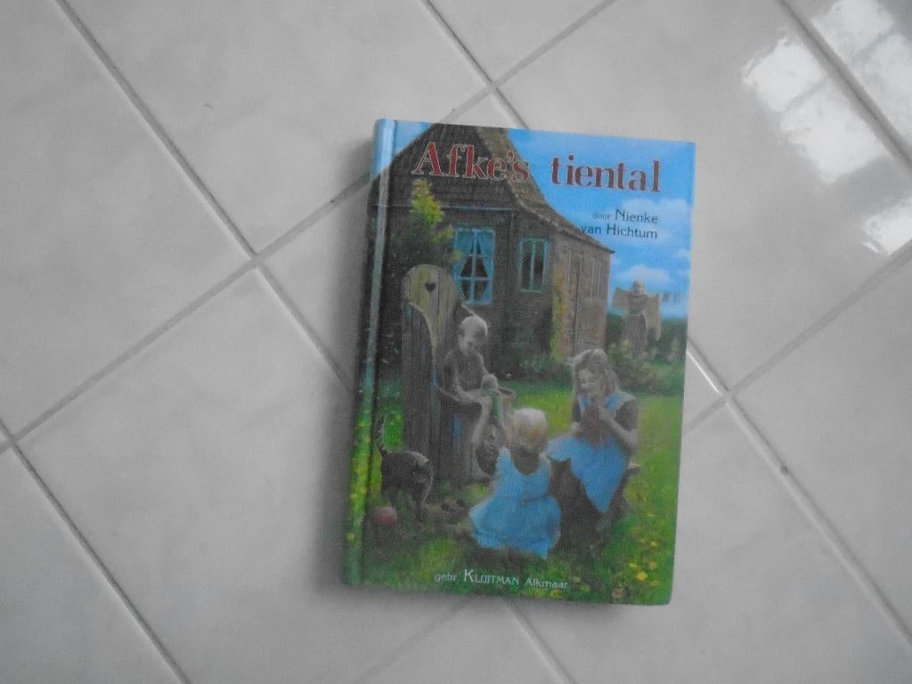 afke's tiental, nienke van hichtum, Ophalen of Verzenden, Zo goed als nieuw, Nienke van Hichtum, Fictie algemeen