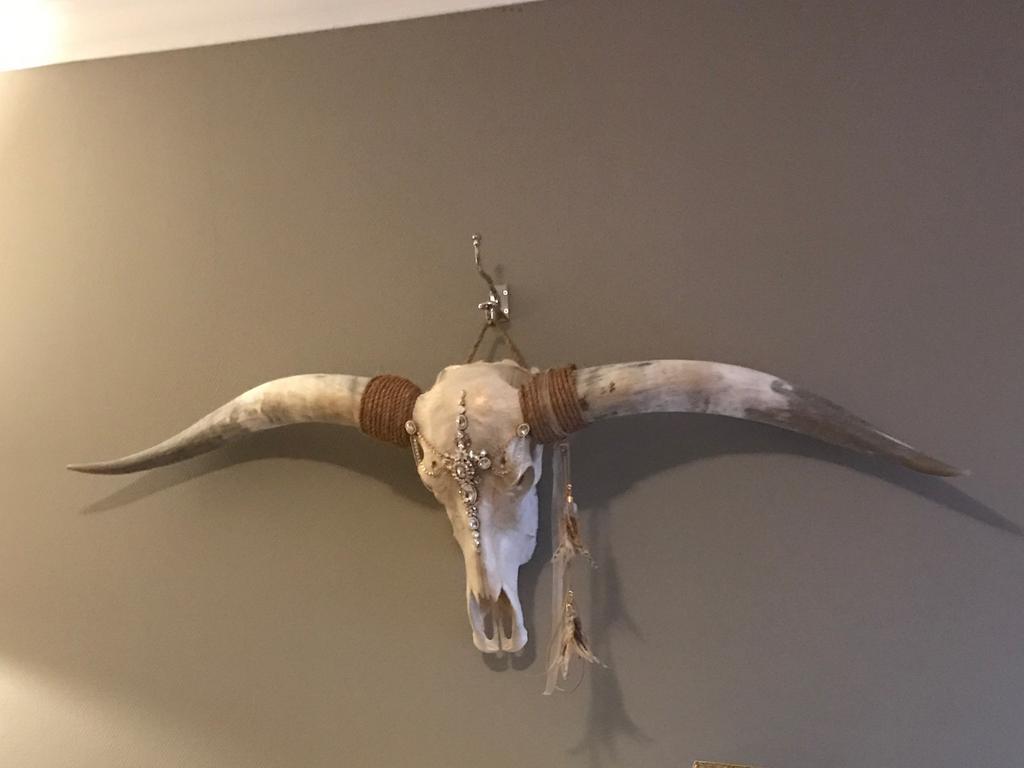 Skul, Ophalen, Gebruikt, Overige soorten, Gewei of Kop