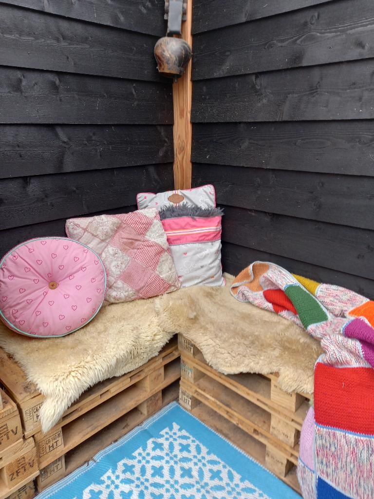 Pallets voor een pallet bank., Ophalen, Gebruikt, 50 mm of meer, Pallet