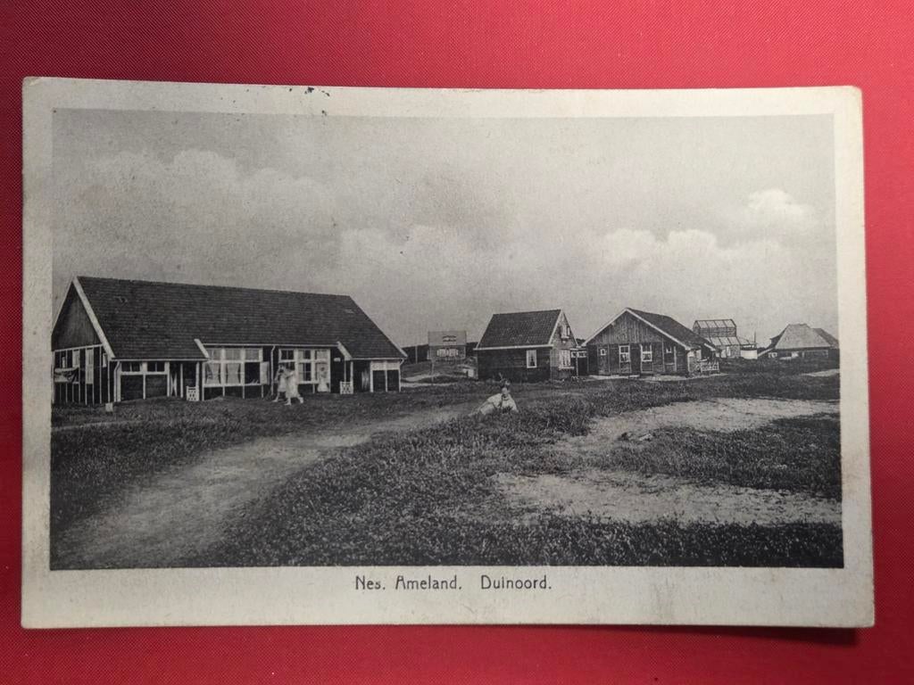 Nes op Ameland Duinoord, Ophalen of Verzenden, Waddeneilanden