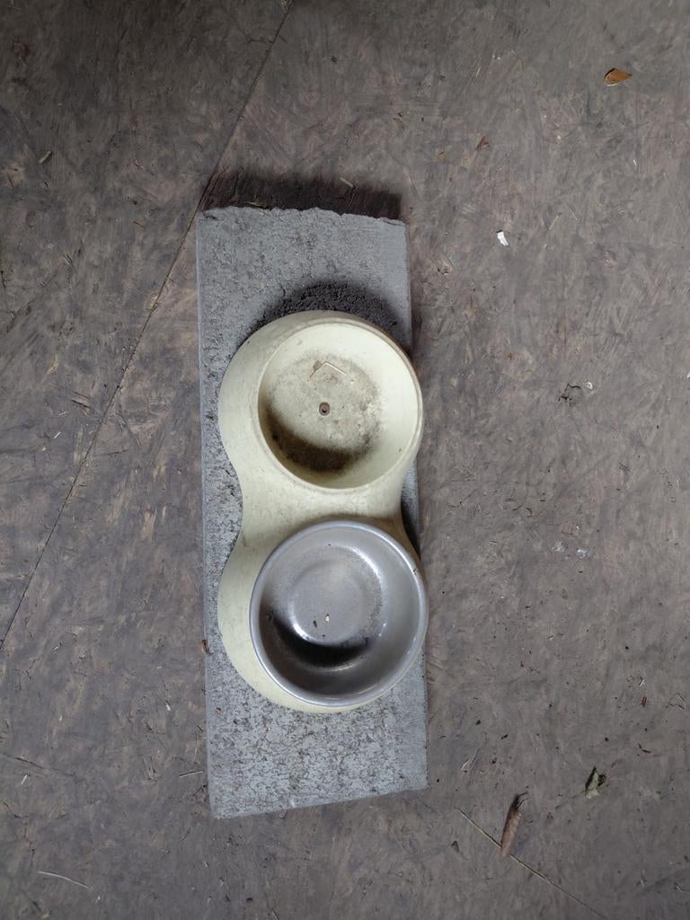 Verzwaarde voerbak, Dieren en Toebehoren, Schapen, Geiten en Varkens, Meerdere dieren, Varken