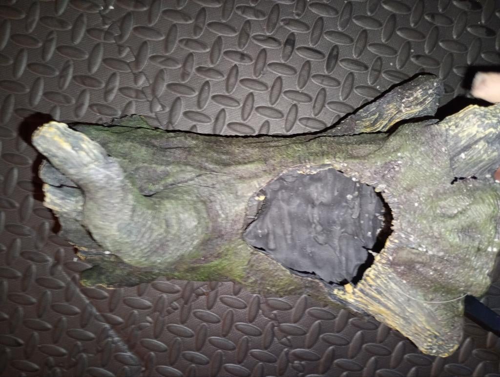 Boomstronk, Ophalen, Plant(en), Steen of Hout