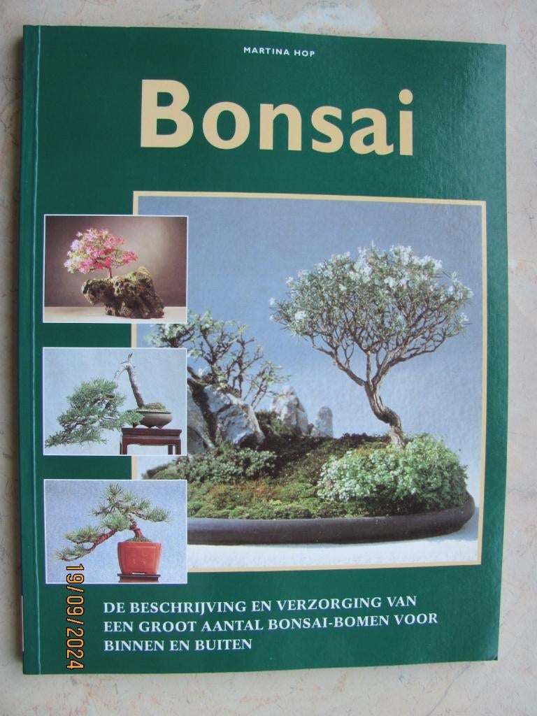 NIEUWSTAAT hobby boek BONSAI Martina HOP 1e druk 1997 R&B, Overige soorten, Ophalen of Verzenden, Zo goed als nieuw, Martina Hop