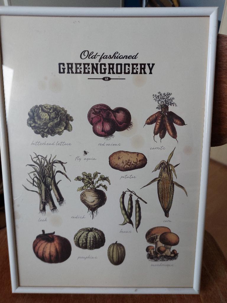 lijst met afbeeldingen groentes ca. 30,5 x 22 cm., Ophalen of Verzenden, Minder dan 50 cm, Schilderij, Minder dan 50 cm