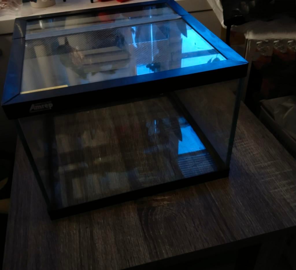 Amrep vierkant terrarium, Dieren en Toebehoren, Reptielen en Amfibieën | Toebehoren, Ophalen, Gebruikt, Terrarium of Paludarium