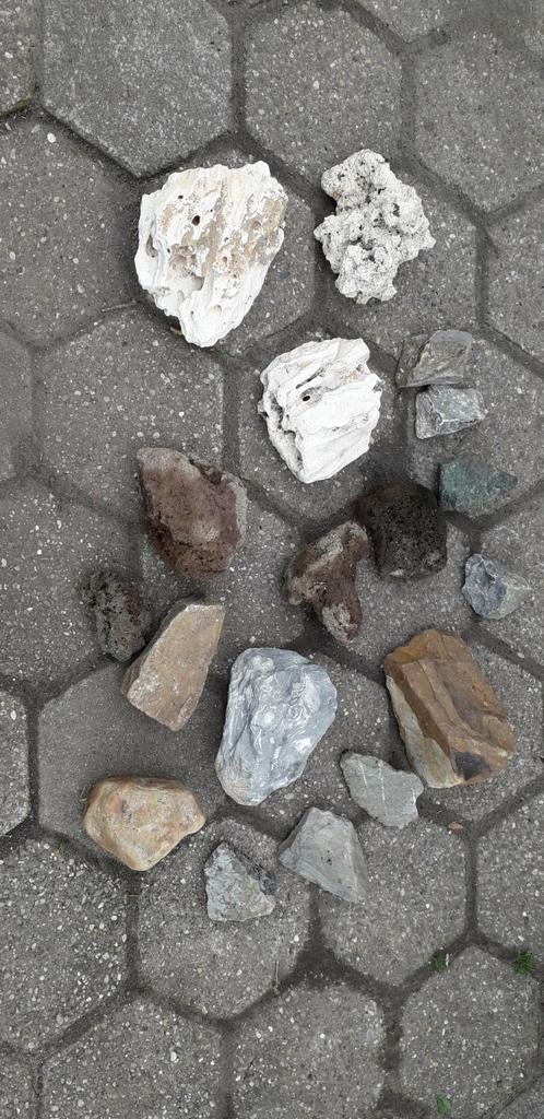 Sierstenen voor aquarium of terrarium, Ophalen, Gebruikt, Tak, Plant, Rots of Steen