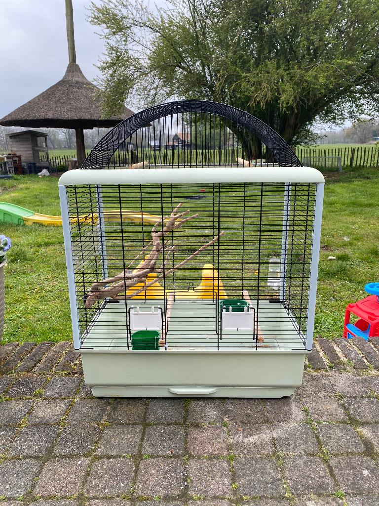 Vogelkooi, Ophalen, Zo goed als nieuw, Metaal, Vogelkooi