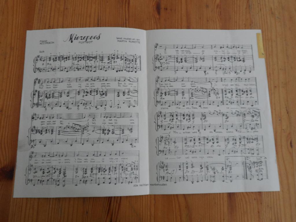 Miezepoes - martin ruwette, Muziek en Instrumenten, Gebruikt, Gitaar, Ophalen of Verzenden, Artiest of Componist