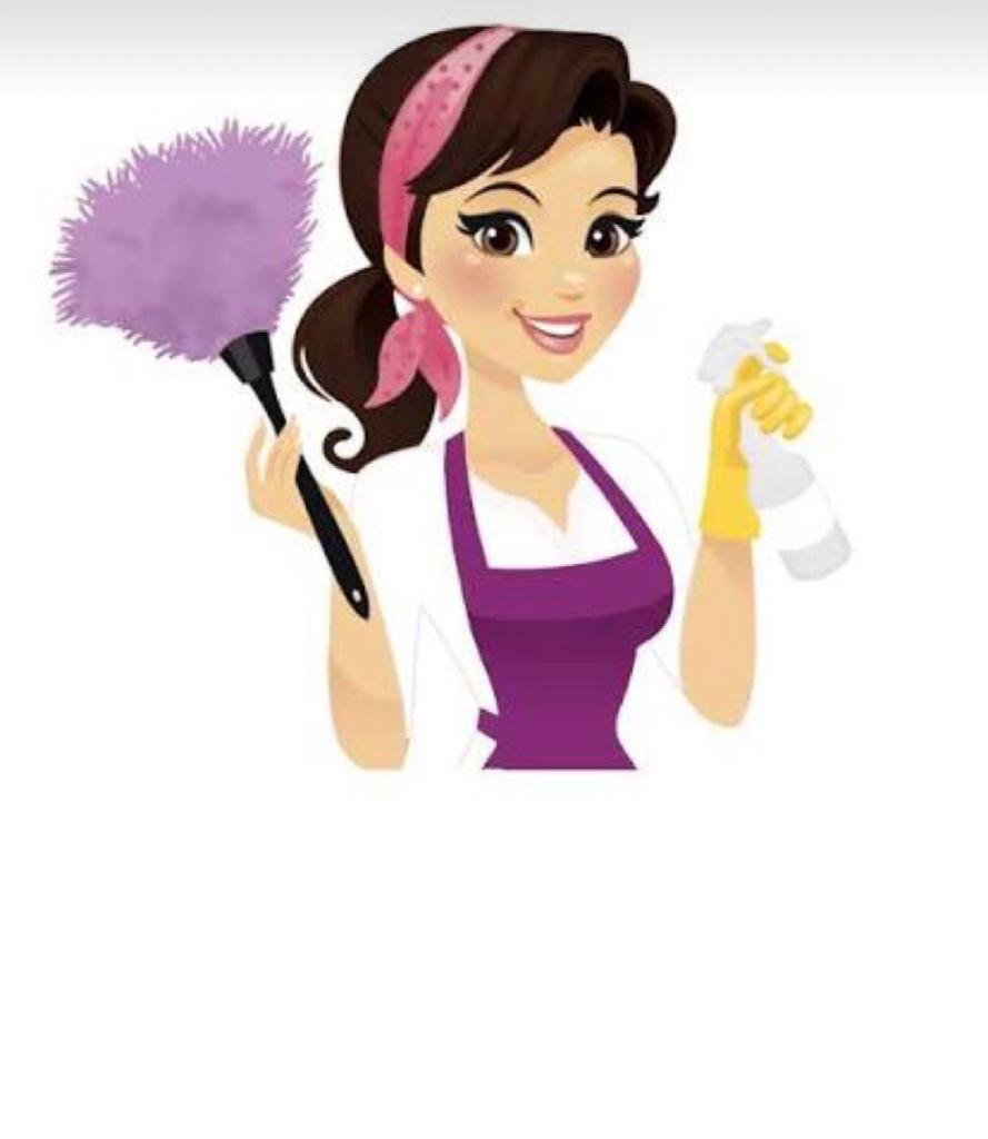 Huishoudelijke hulp aangeboden Vijfhuizen, Hoofddorp Heemste, Schoonmaken