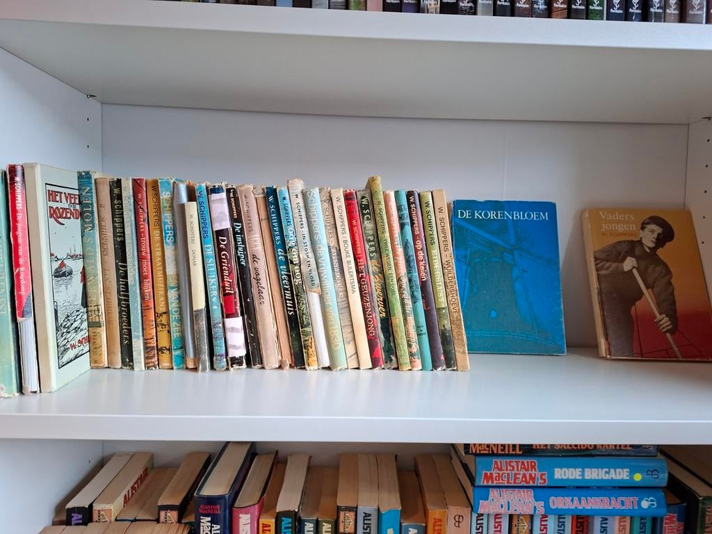 Boekencollectie W. Schippers - Diverse titels, Boeken, Ophalen, Gelezen, W. Schippers, Nederland