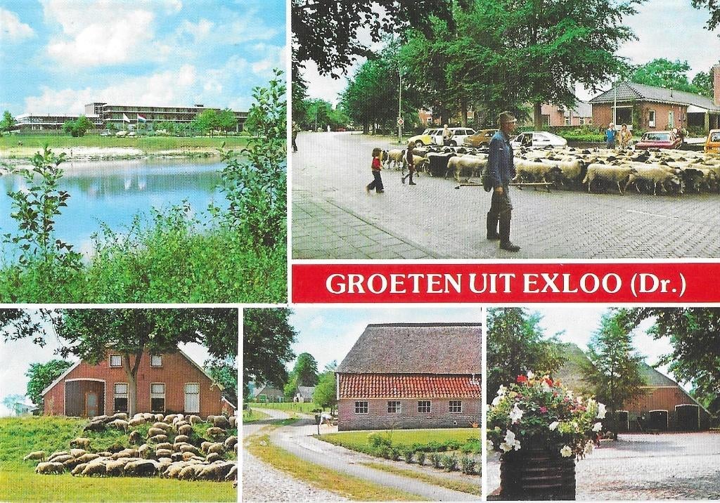 AK Exloo - Groeten uit...., Verzenden, 1960 tot 1980, Ongelopen, Noord-Brabant