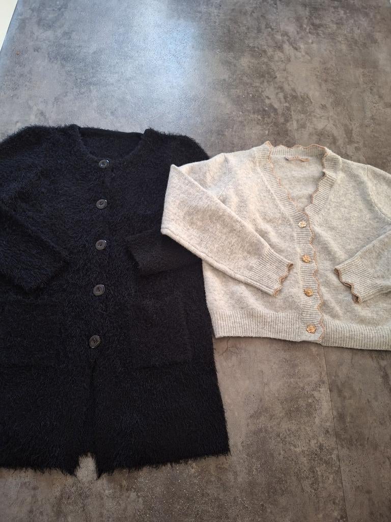 2 prachtige wintervesten! draagmt M/38, Kleding | Dames, Maat 38/40 (M), Zwart, Ophalen of Verzenden, Azara