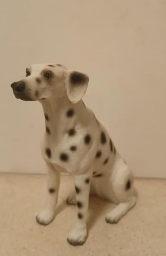 Dalmatiër, Verzenden, Huis en Inrichting